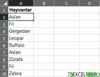 Benzersiz Değerler