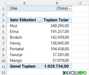 Özet Tablo Gruplandır Öğesi