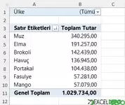 Özet Tablo Gruplandır Öğesi