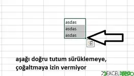 Excelde Değer Çoğaltma Yapamıyorum