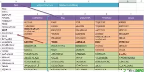 Sütundaki Değerleri Başka Sayfaya Aktarma