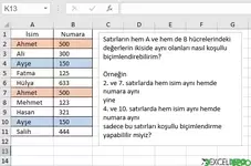 İkiside Aynı Olanları Koşullu Biçimlendirme