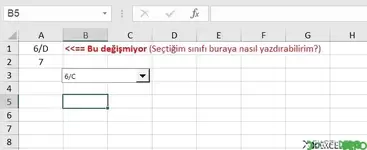 Form Control DropDown Select Değerini Alma