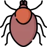Qene