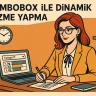 ComboBox ile Dinamik Süzme Yapma