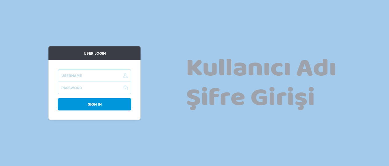 Kullanıcı Adı ve Şifre Girişi