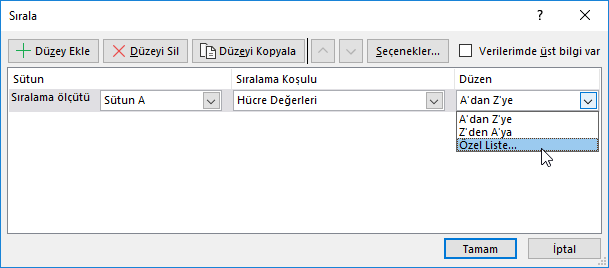 Özel Listelere göre sıralama yapmak Özel Listelere göre sıralama yapmak