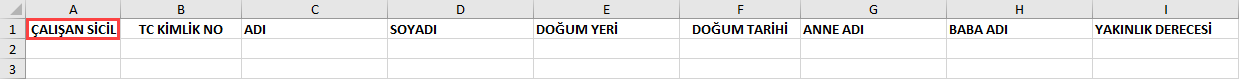 Excel'in doğru kullanımı Excel'in doğru kullanımı