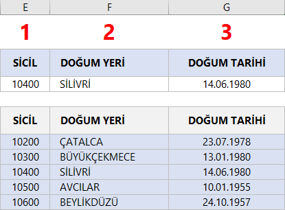 Düşeyara fonksiyonu