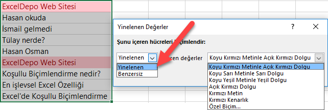 Hücre Vurgulama Kuralları - Yinelenen Değerler