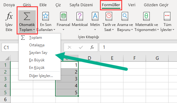 Otomatik Toplam özelliğini kullanmak
