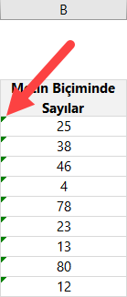 metin biçimindeki sayılar metin biçimindeki sayılar