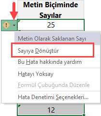 metin biçiminde sayılar metin biçiminde sayılar