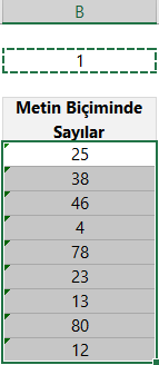 alanı seçme alanı seçme
