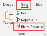 Biçim boyacısı