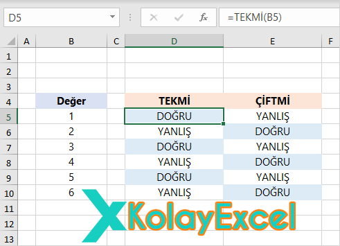 TEKMİ Fonksiyonu