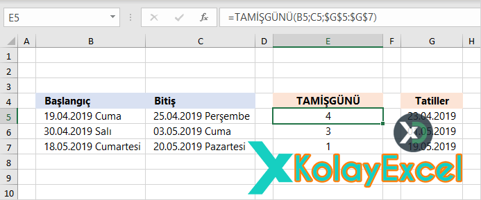 TAMİŞGÜNÜ Fonksiyonu