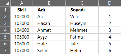 Sıra numarası verme