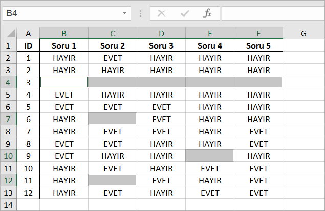 Boş Hücreler Seçildi