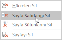 Sayfa Satırlarını Sil
