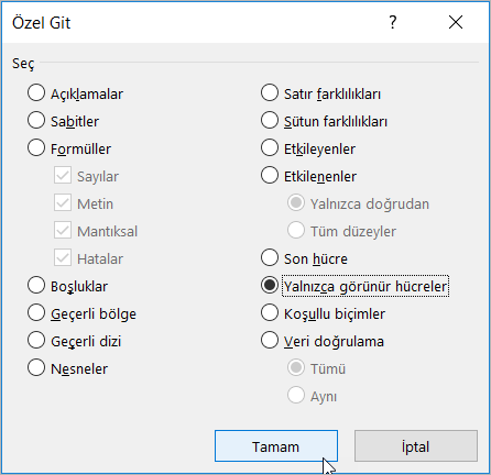 Yalnızca Görünür Hücreler Yalnızca Görünür Hücreler