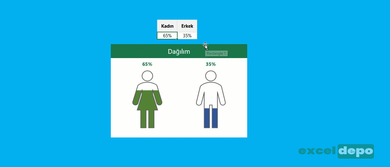 İnfografik Cinsiyet Dağılım Grafiği