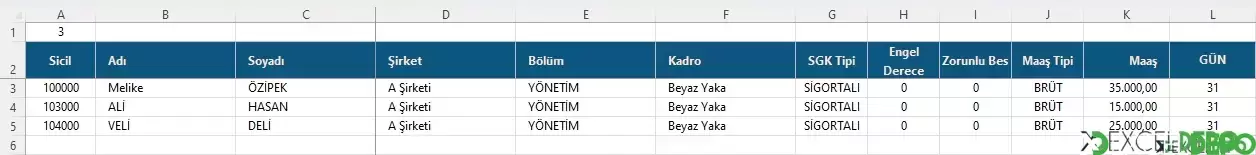 Maaş Listesi ve Otomatik Puantaj Oluşturma