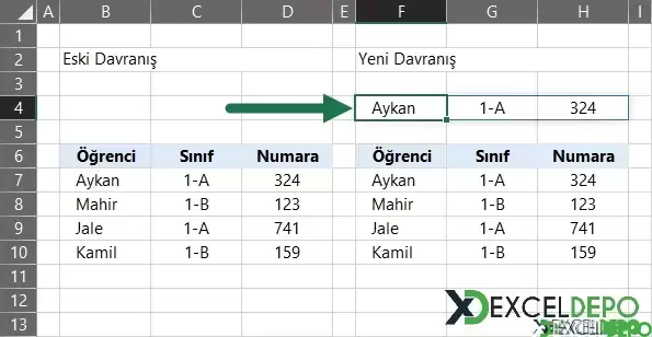Dinamik Dizi Formülleri