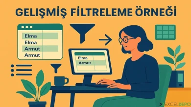 Gelişmiş Filtreleme Örneği