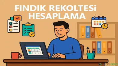 Fındık Rekoltesi Hesaplama