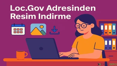 Loc.Gov Adresinden Resim İndirme