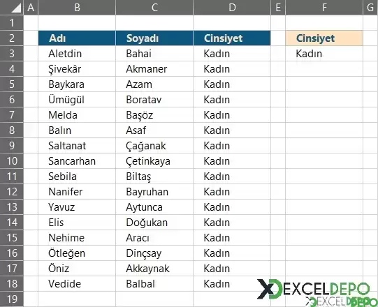 Seçilen Cinsiyete Göre Çalışanları Listeleme
